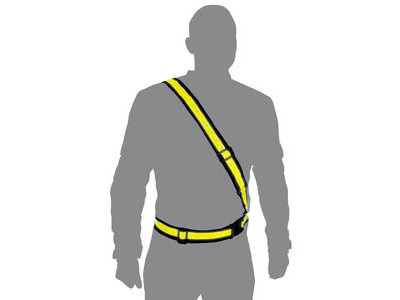 Oxford Bright Belt