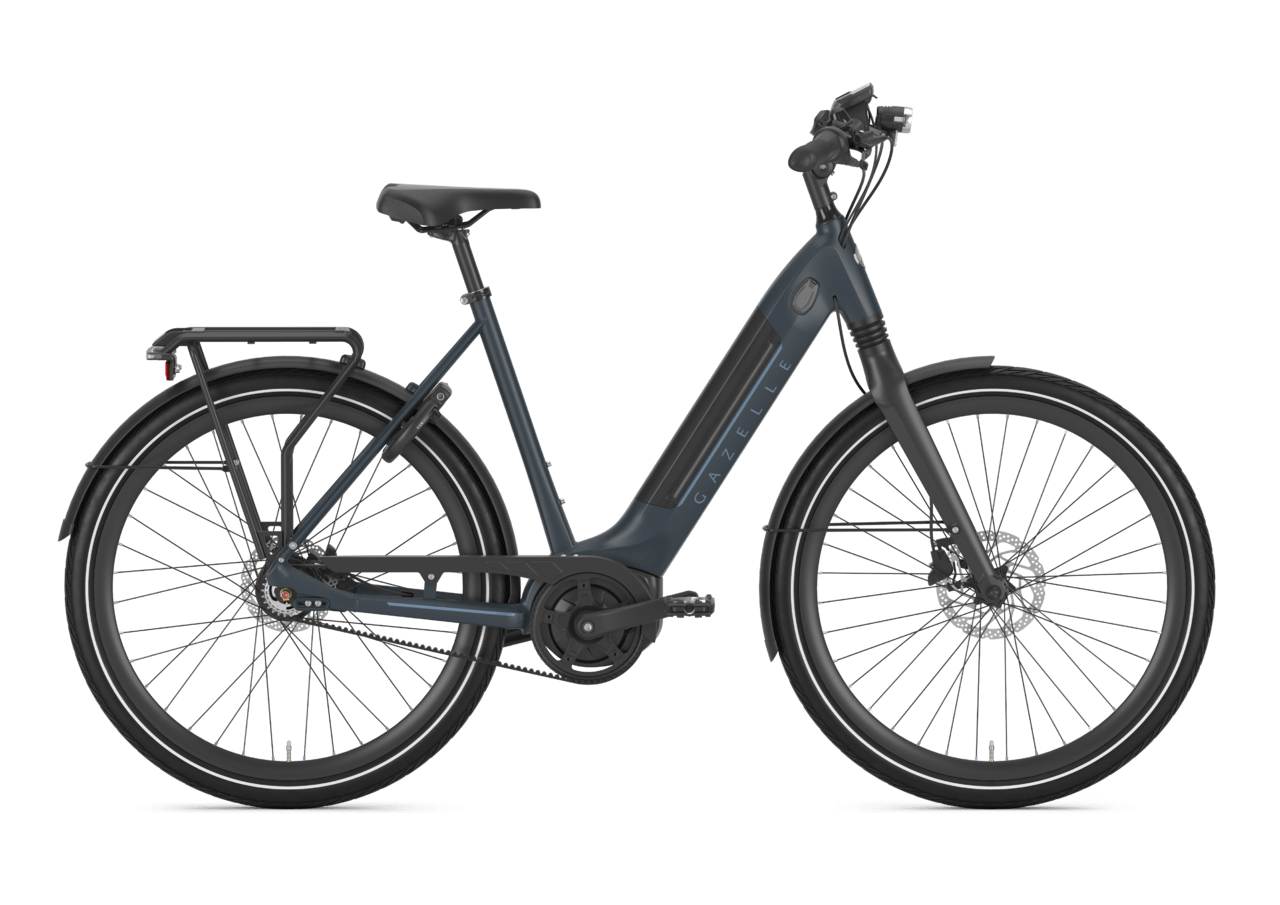 Gazelle mountain bike hot sale