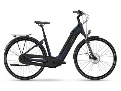 Raleigh MOTUS HUB