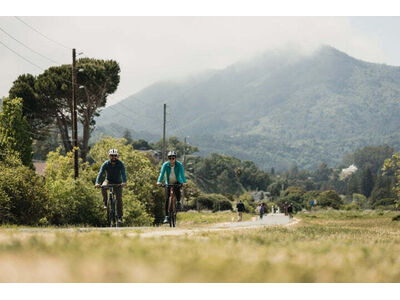 Marin Bikes Fairfax 2 click to zoom image