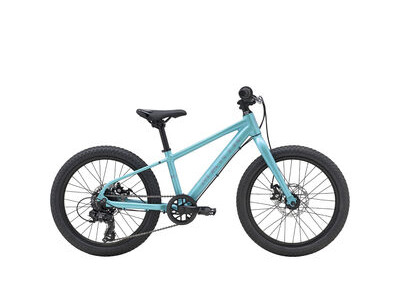 Marin Bikes Bayview Trail 20