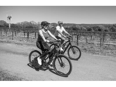 Marin Bikes Stinston E ST click to zoom image