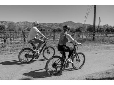 Marin Bikes Stinston E click to zoom image