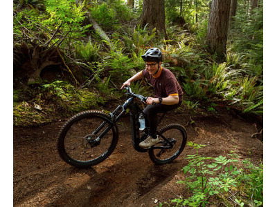 Marin Bikes Alpine Trail E1 click to zoom image