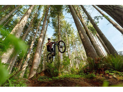Marin Bikes Alpine Trail E2 click to zoom image