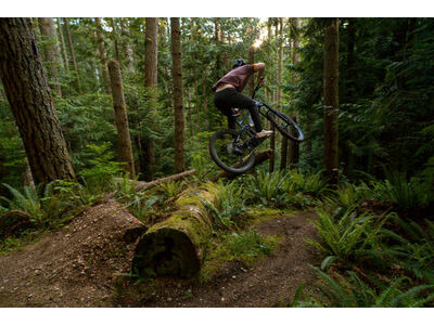 Marin Bikes Alpine Trail EXR click to zoom image