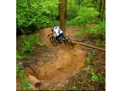 Marin Bikes Alpine Trail 2 click to zoom image