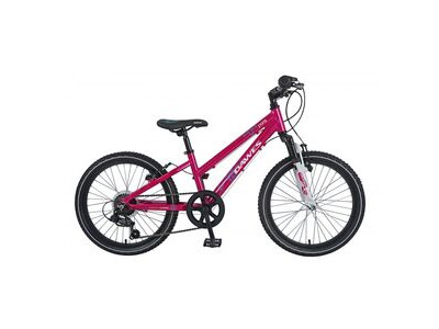 Dawes Bikes Paris