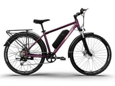 E Motorad T Rex Pro 2.0 18" Purple click to zoom image
