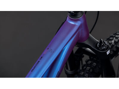 Cube Bikes Reaction Tm Pro click to zoom image