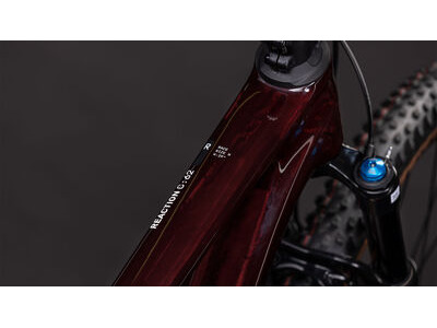 Cube Bikes Reaction C:62 Race click to zoom image