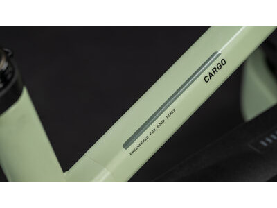 Cube Bikes Cargo Hybrid 800 click to zoom image