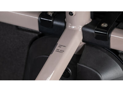 Cube Bikes Cargo Hybrid Comfort Pro Family 800 click to zoom image