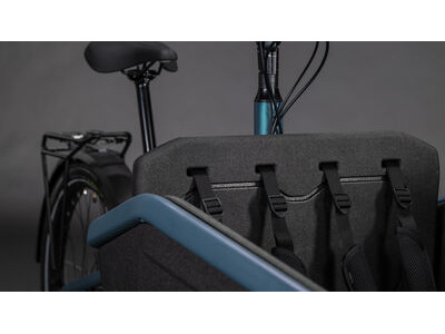 Cube Bikes Cargo Hybrid Comfort Pro Family 800 click to zoom image