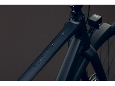 Cube Bikes Nulane Pro Fe click to zoom image